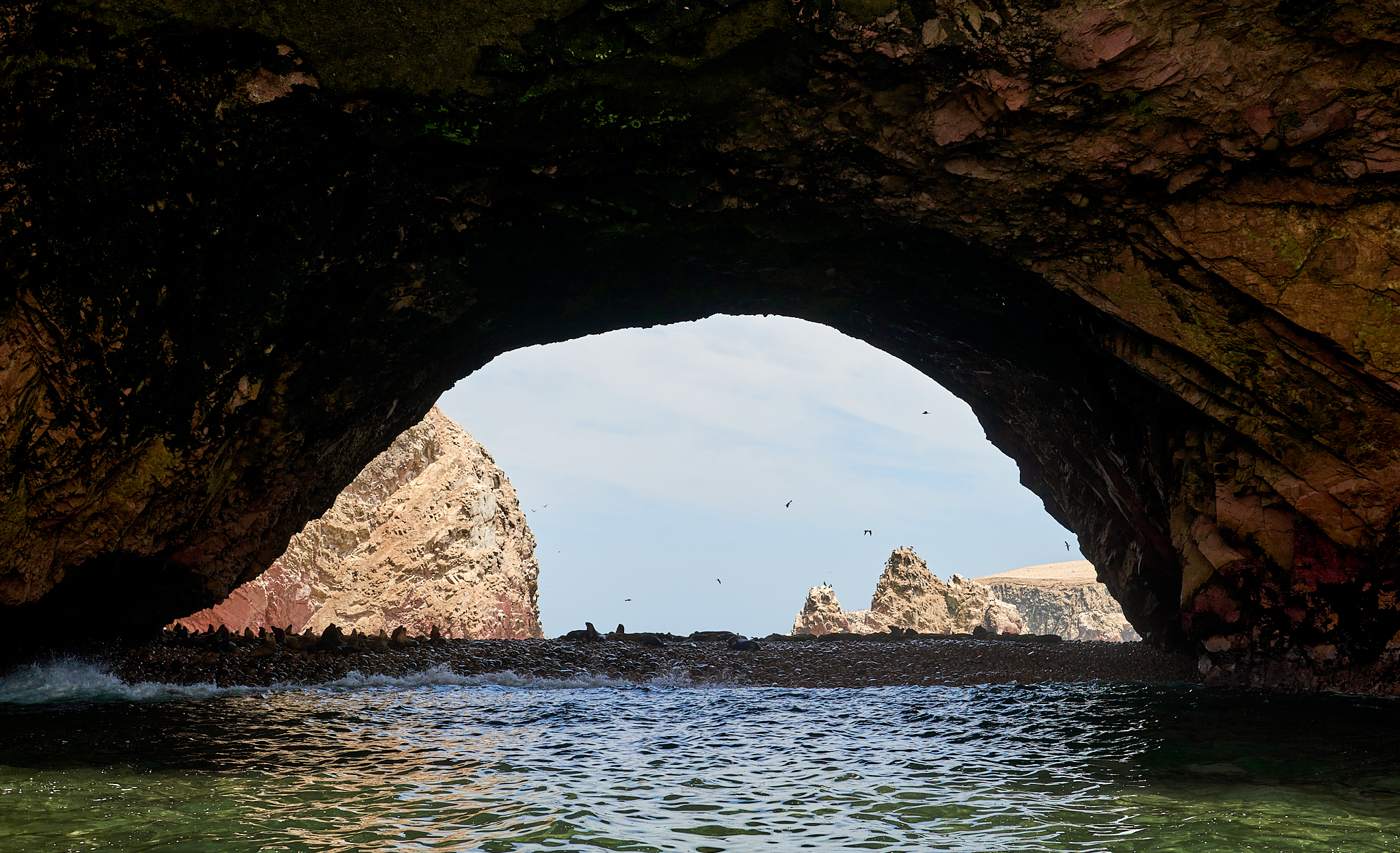 20200304 119 [페루] 바예스타섬